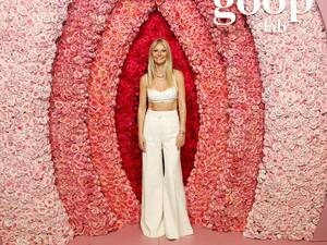 Gwyneth Paltrow Getting Fucked Porn - The Goop Lab review â€“ so Gwyneth Paltrow doesn't know what a vagina is |  Documentary | The Guardian