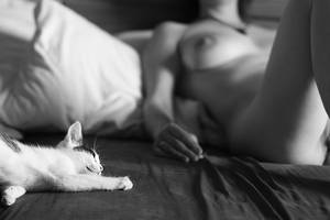Indifferent Porn - Indifferent catsin amateur porn Tomado de: http://indifferent-cats-in