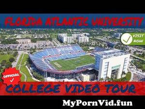 Fau Student Porn - Florida Atlantic University - Official Campus Video Tour from fau photos  Watch Video - MyPornVid.fun