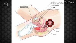 como hacer el sexo anal - Videos de Sexo Como hacer el sexo anal - XXX Porno - Max Porno