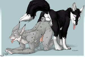 Knot Anal Furry Porn - Rule 34 - abstract background all fours anal anthro anus balls blue eyes  canine chest hair chest tuft cum cum on floor dog feline feral feral on  anthro from behind fur furry
