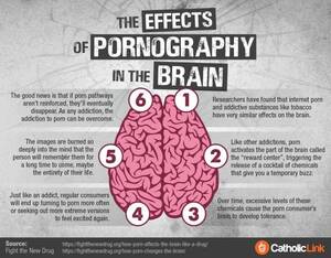 Effect Of Porn - The Effects Of Pornograhy On The Brain | Catholic-Link
