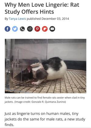 Lab Rats Disney Porn Captions - Female rats are sexier when clad in tiny jackets, says science. : r/funny