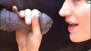 bitches sucking donkey dick - Donkey animal Animal Porn