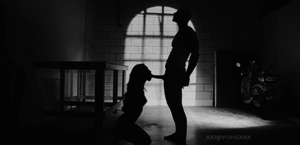 blowjob silhouette - 9348-silhouette-blowjob.gif | MOTHERLESS.COM â„¢