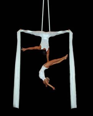 Aerial Silk Trapeze Porn - Aerial Ring | International Circus Stardust Entertainment