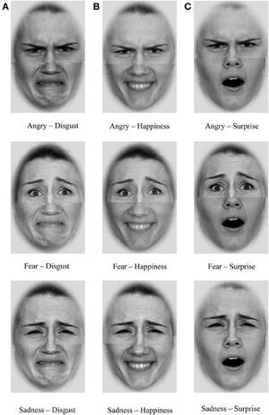 Fear Expression Porn - Test your facial expression emotion recognition . Adult gallery.