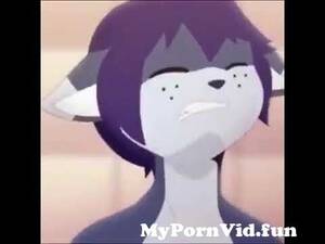Furry Yiff Porn - furry yiff cut g from yiff porn Watch Video - MyPornVid.fun