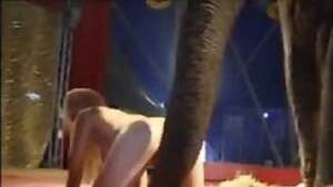 Elephant Fucks A Woman Porn - Sexy girl and elephant