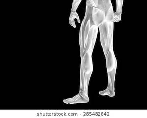 Middle School 3d Porn - Concept or conceptual human or man 3D anatomy body with muscle isolated on  background, metaphor