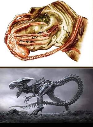 Ellen Ripley Facehugger Porn - I need this in a movie : r/LV426
