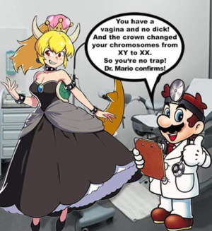 Mario Gender Swap Porn - Bowsette and the Internet's Obsession with Gender Swapping â€“ Mattie  Schraeder