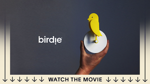 Bird Watching Porn - CanairiÂ® - Fresh Air Monitorâ„¢ by BirdieÂ® â€” Kickstarter