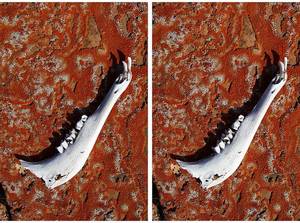 Middle School 3d Porn - By Wayne Karberg â€“ Pro