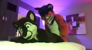 Furries Fucking Porn - Two Gay Furries Fucking 2 gay watch online or download