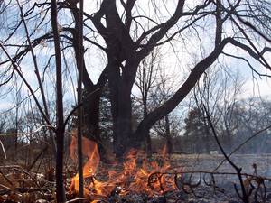 Fire Fantasy Porn - A ...