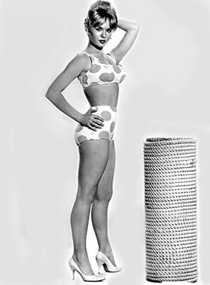 Barbara Feldon Porn - Did anyone else have a celebrity crush on Barbara Eden, from the sitcom I  Dream of Genie (1965-1970)? : r/OldSchoolCool