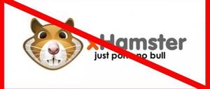 Hamster Porn Site - Xhamster | The Daily Caller