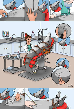 Enema Bondage Cartoon Porn - Rule 34 - anal anal sex anatomically correct animal genitalia animal  urethral insertion anus bondage bound catheter cetacean cloves dolphin enema  examination female human kinaj lube male mammal marine medical nipples oral