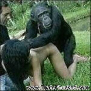 Monkey Fucks Girl - Ape fucking a woman - Adult most watched image website. Comments: 2