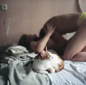 Cats Sex Porn - Where's ...