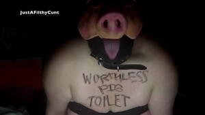 Fuck Pig Whore - JustAFilthyCunt Fuckpig Porn Pig Dildo Sucking Whore Degrading Skype  Session - XNXX.COM