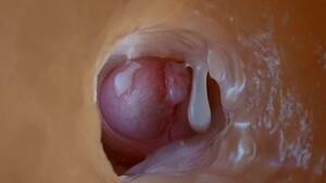 dick inside cam - Penis Inside Vagina Camera Gay Porn Videos | Pornhub.com