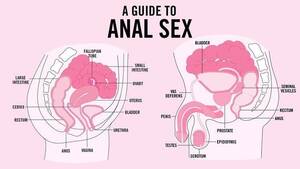 disease from anal sex - Anal sex ~ Everything You Need to Know with Photos | Videos