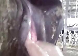 cow fisting pussy - Fisting Videos / Horse Zoofilia Tube / Most popular Page 1