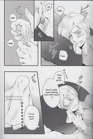 Aph Porn - Niku to Mame (Rebasashi)] Hetalia dj â€“ Good Night With Sve [Eng] - Gay  Manga | HD Porn Comics