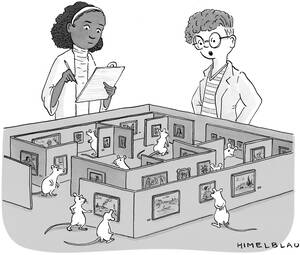 Lab Rats Disney Porn Captions - Contest #841 Summary