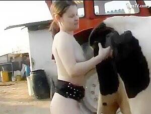 calf fisting - Fisting a cow at the farm - ZooSkool Videos - Bestiality sex