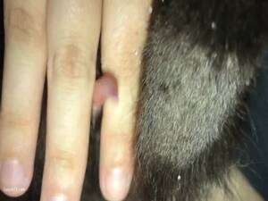 Man Fucks Cat Porn - Pleasing A Cat - LuxureTV