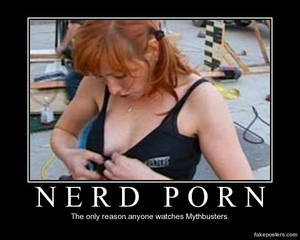 Funny Epic Fail Porn Posters - Nerd Porn - Mythbusters Demotivational Poster