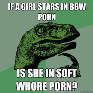 Bbw Porn Memes - If a girl stars in BBW porn Is she in soft whore porn? - Philosoraptor -  quickmeme