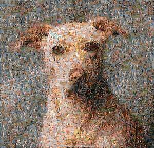 Mosaic Porn - gladysporn | a mosaic portrait of gladys made out of porn frâ€¦ | Flickr