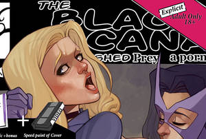 Black Canary Porn Comic - 