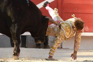 Asian Schoolboy Porn - Horrific moment bullfighter, 20, is gored in the backside while performing  in Marseille â€“ Vincent Idele's Blog