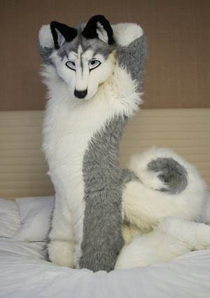 Female Only Furry Suit Porn - who wants to come snug this guy? @Granitethewolf