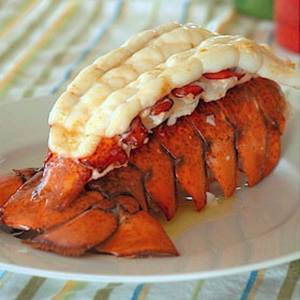 Heavy Lobster Porn - large fresh lobster tails -- a beautiful addition to a traditional  Thanksgiving Dinner table!