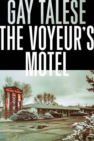 beach hotel voyeur - The Voyeur's Motel by Talese, Professor Gay