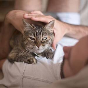 Anneli Sex Kittens - A Therapist on That Awkward Sex Scene in 'Cat Person'