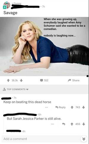 Amy Schumer Getting Fucked - Are Amy Schumer jokes getting old yet? : r/ComedyCemetery