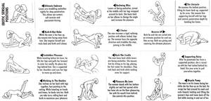 Different Oral Sex Positions - Sex-Positions