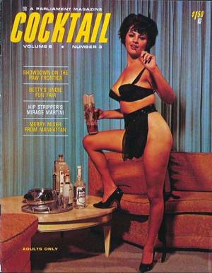 50s Themed Porn Magazine - boozing babes (18)