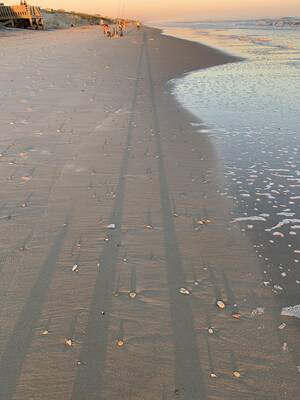 hatteras nudist - I threw a very long shadow at sunset near Hatteras, North Carolina [OC] :  r/mildlyinteresting