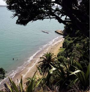caribbean nude beach sex - Ladies Bay nudist beach: Sexual activity incident not a first - Auckland  community leader - NZ Herald