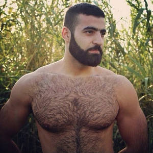 Beard Gay Porn - manly-brutes: manly-brutes.tumblr.com active gay porn blog