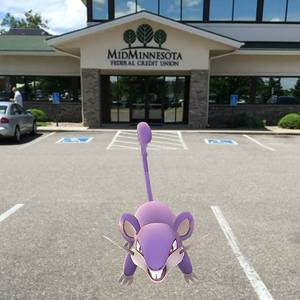 Homemade Xxx Minnesota Rochester - Pokemon have infested Mid-Minnesota branches. Come over and catch them all  for us
