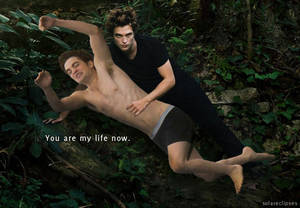 Drarry Harry Potter Sex Porn - Harry Potter Vs. Twilight wallpaper containing skin titled Jumping Rob &  Twilight
